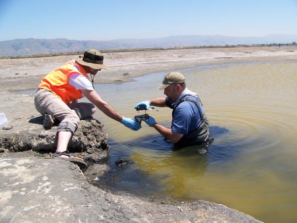 Mark Marvin-diPasquale testing pond mercury.