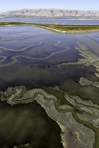 Salt pond. Credit: Cris Benton