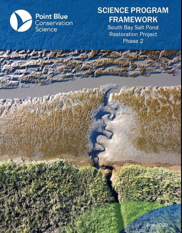 Cover of Phase 2 Science Program Framework report, closeup of Pond A21. Credit: Cris Benton
