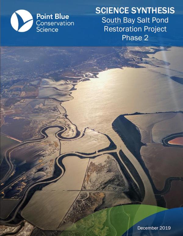Cover of Phase 2 Science Synthesis report. Aerial photo of lower South Bay.