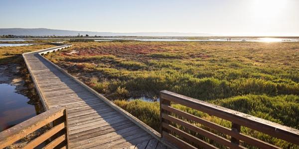 Boardwalk by the Refuge Environmental Education Center