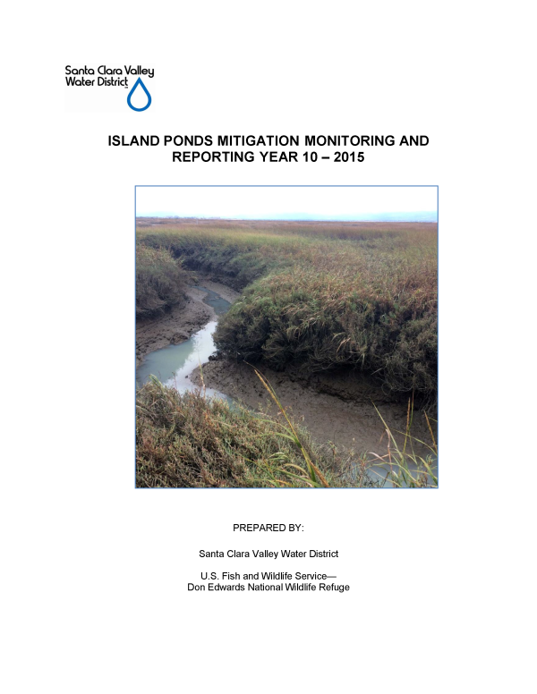 Monitoring Report, Year 10, cover