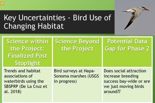 Presentation slide: Key Uncertainties: Bird Use of Changing Habitat