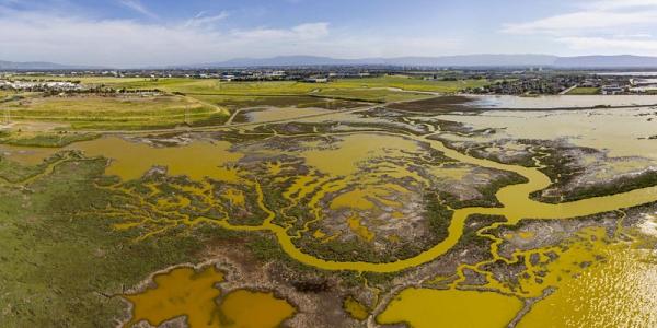 Refuge wetlands. Credit: Cris Benton