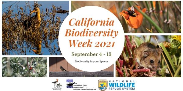 California Biodiversity Week wildlife