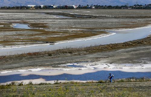 Fortresses of mud