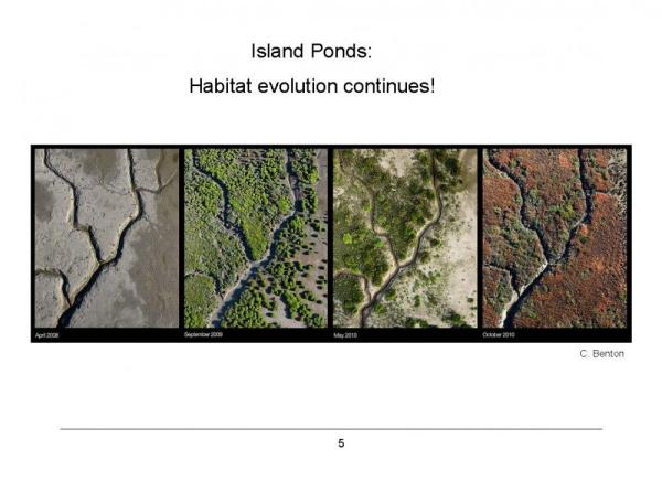 Habitat Evolution Continues. Photos by Cris Benton