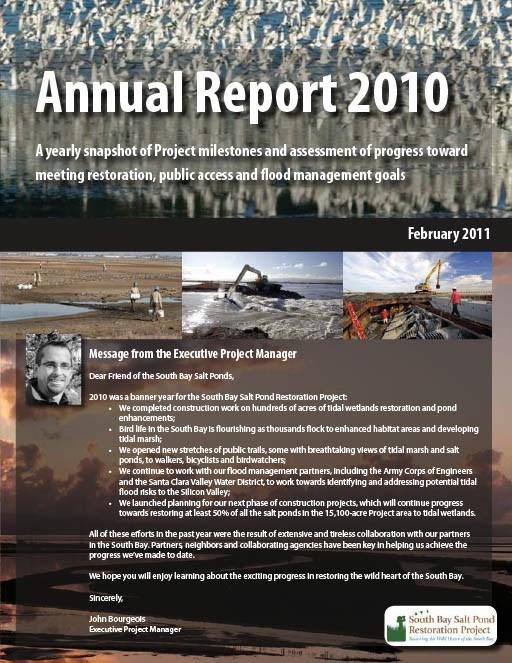 2010 Annual Report cover