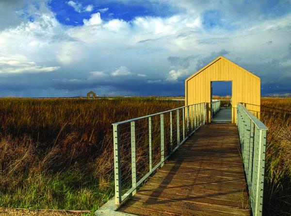 Alviso Marina County Park