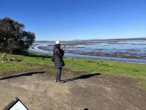 A person snaps a shot of Greco Island wetlands from Menlo Park's Bedwell Bayfront Park
