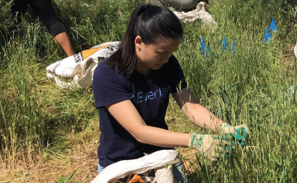 A volunteer at work. Credit: Save The Bay