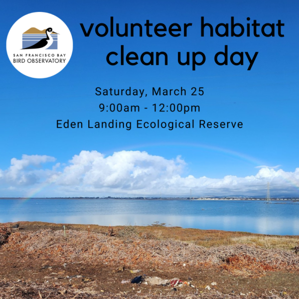 Volunteer Habitat Clean Up Day at Eden Landing Ecological Reserve