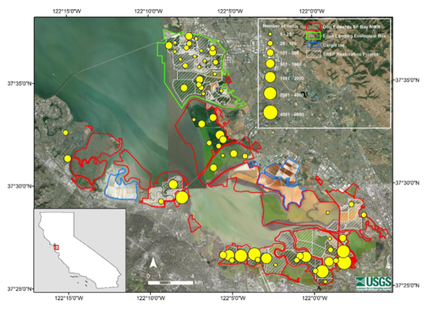 Figure from: Ackerman, JT, CA Hartman, and MP Herzog. 2023. Monitoring nesting waterbirds for the South Bay Salt Pond Restoration Project: 2022 breeding season. U.S. Geological Survey Open-File Report