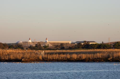 Birds float in the Charleston Slough with Shoreline Amphitheatre behind them during sunset on Oct. 17, 2023. Photo by Magali Gauthier.