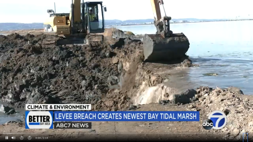 Earthmover digs open levee to open 300-acre Ravenswood pond