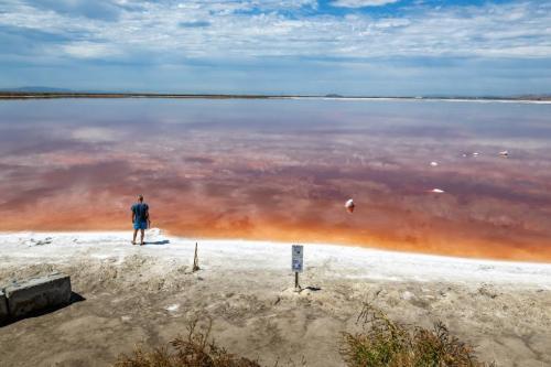 Clumps of salt stick out of the water at a salt pond in Alviso on Aug. 15, 2023, a district of San José located on the southern shores of San Francisco Bay. Credit Beth LaBerge/KQED