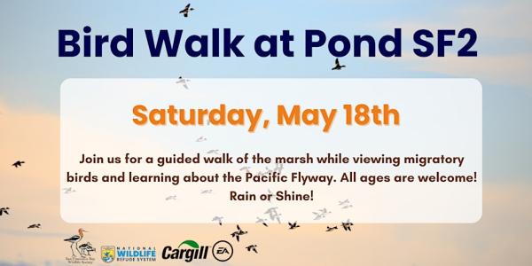 Flyer: Join us for a guided walk of the marsh while viewing migratory birds and learning about the Pacific Flyway. All ages are welcome! Rain or Shine!