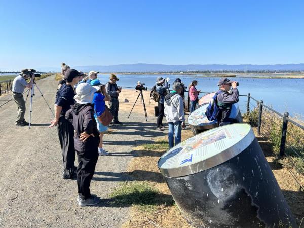 People tour Ravenswood Pond SF2