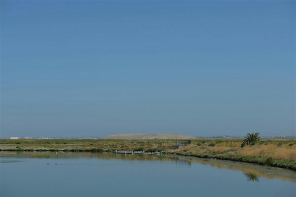 Alviso Ponds at the Refuge