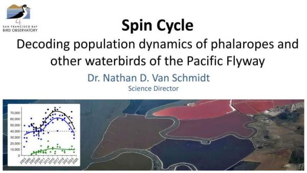 Presentation introductory slide