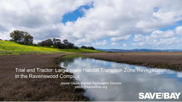 Presentation introductory slide