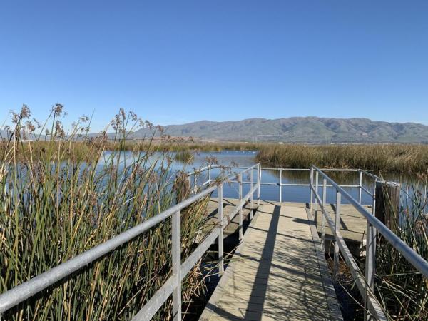 View from the Refuge's Alviso Environmental Education Center. Credit SFBWS