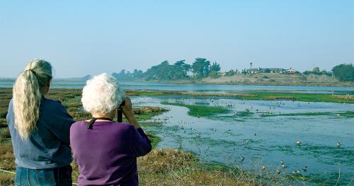 Two people watching wetland birds. Credit: Michael Peters