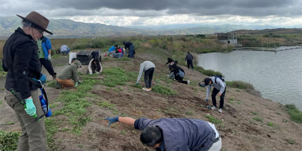 Volunteers at work. Credit: Keep Coyote Creek Beautiful
