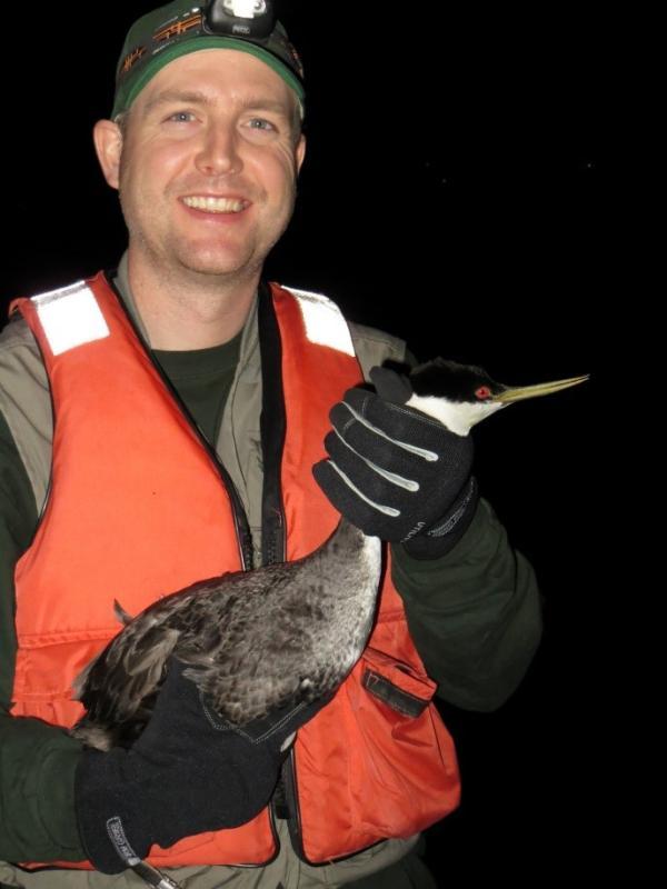 Josh Ackerman with a western grebe
