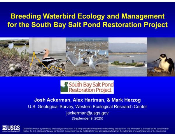 Presentation introductory slide