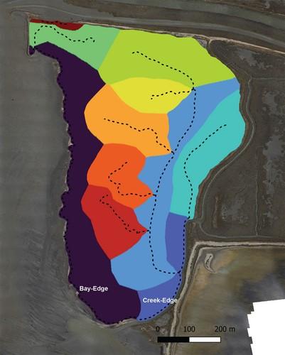 Surface of Whales Tail Marsh coloured to segment by presumed inundating body of water. Credit: USGS