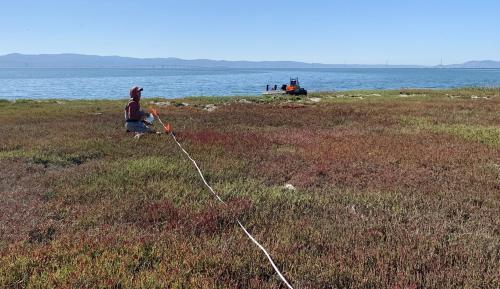 Eden Landing - scientist at work. Credit: USGS
