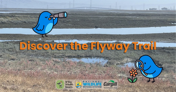 Discover the Flyway Trail - cartoon birds against a panorama of ponds and marsh