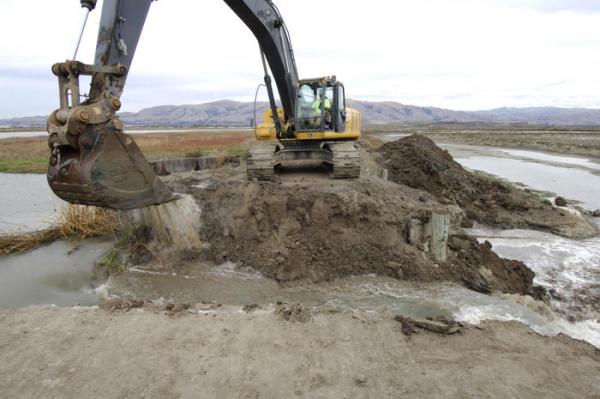 digging