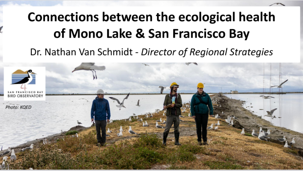 Dr. Van Schmidt and colleagues amid gulls. Credit: KQED