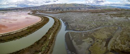 South Bay Salt Pond Restoration Project acreage. Credit: Cris Benton