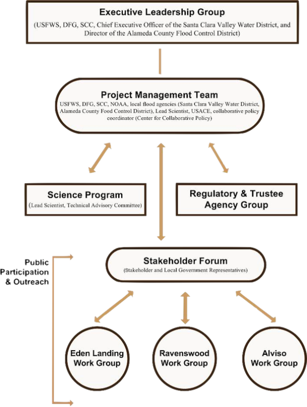 Mgmt structure