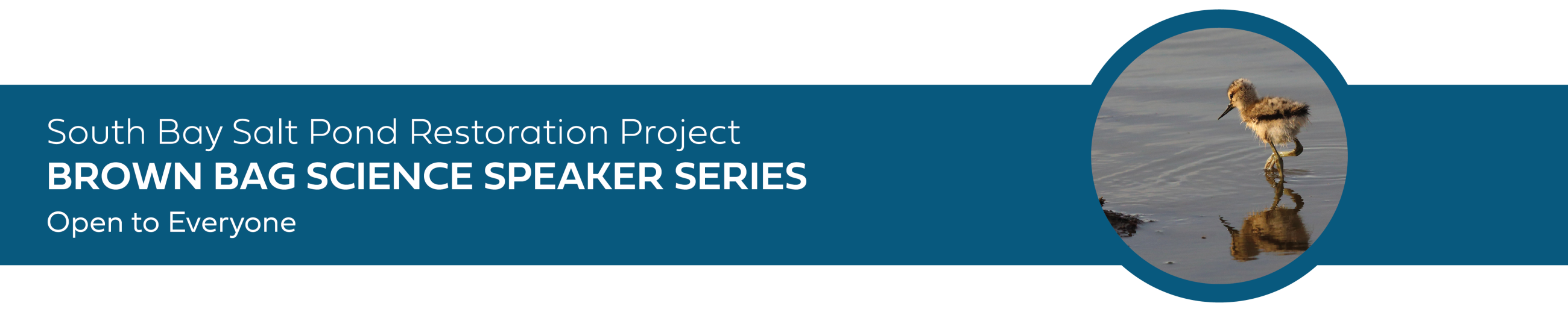 South Bay Salt Pond Restoration Project - Brown Bag Science Speaker Series - Open to Everyone 