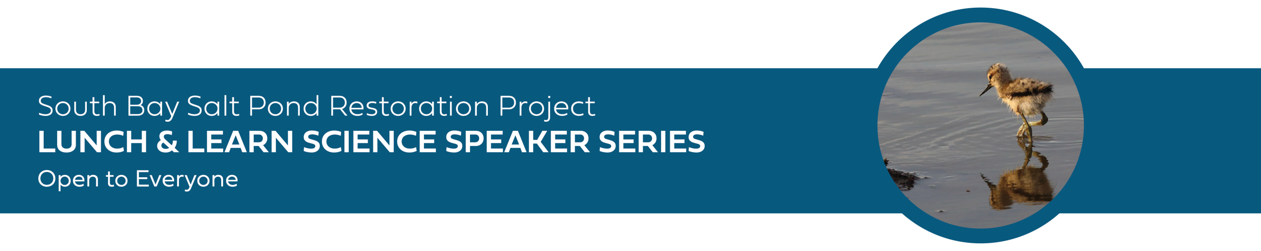 South Bay Salt Pond Restoration Project, Lunch and Learn Science Speaker Series, Open to Everyone 