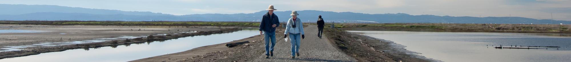 Hikers at Eden Landing Ecological Reserve. Credit: Judy Irving, Pelican Media