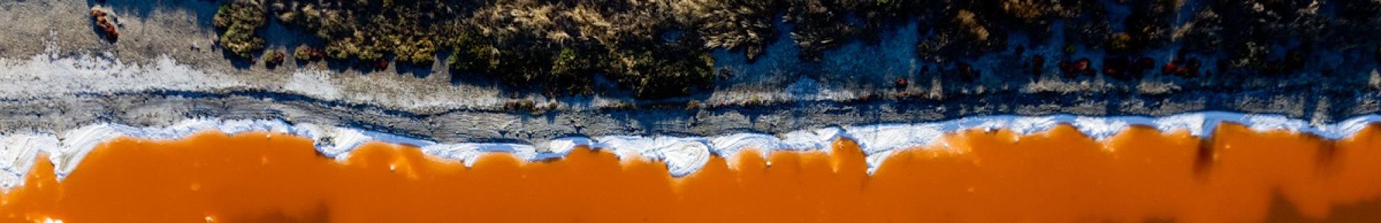 Salty pond near Bedwell Bayfront Park, Ravenswood. Photo by Cris Benton.