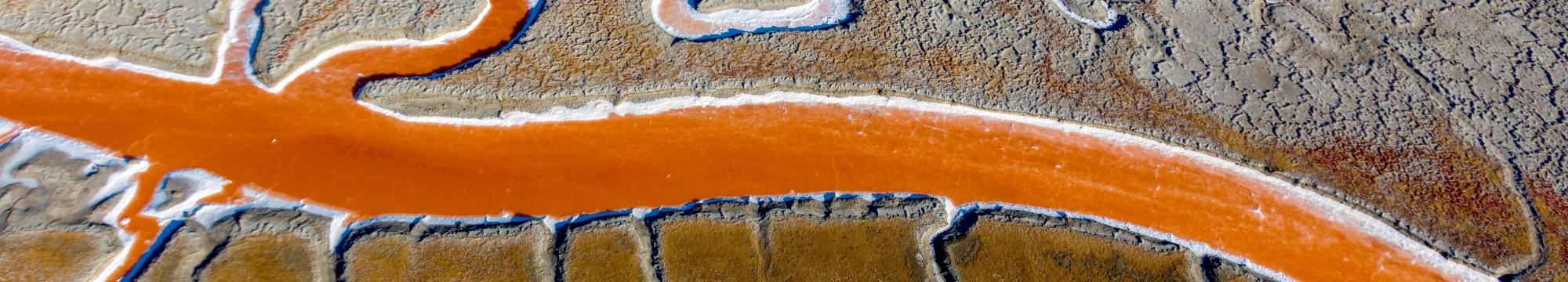 Saltscape near Menlo Park's Bedwell Bayfront Park. Credit: Cris Benton