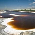 Salt-encrusted red pond waters east of the Duck's Head pond. Credit: Judy Irving, Pelican Media.
