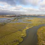 Ponds and wetlands of southern Eden Landing Ecological Reserve. Credit: Cris Benton