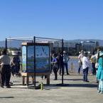 Flywood Trail and signs unveiled. Credit: Eleanor Raab