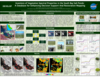 Inventory of Vegetation Spectral Properties in the South Bay Salt Ponds: A Database For Enhancing Decision Support And Restoration Mapping (Poster Thumbnail)