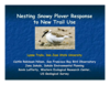 Nesting Snowy Plover Response to New Trail Use (Title Slide)