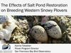 Will snowy plovers be affected by the restoration? (title slide)