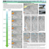 Bathymetric change surrounding the Alviso pond complex: 2010-2012 (Slide Thumbnail)