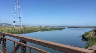 Bair Island in Redwood City, California. (Isha Salian/Peninsula Press)